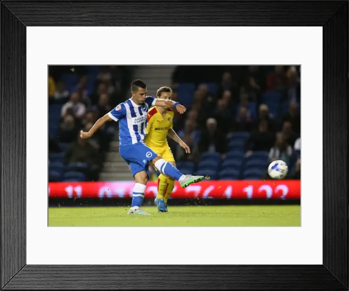 Framed Print : Brighton and Hove Albion vs Rotherham United: Sky Bet Championship Showdown at American Express Community Stadium (September 15, 2015) Framed Print : Brighton and Hove Albion vs Rotherham United: Sky Bet Championship Showdown at American Express Community Stadium (September 15, 2015)