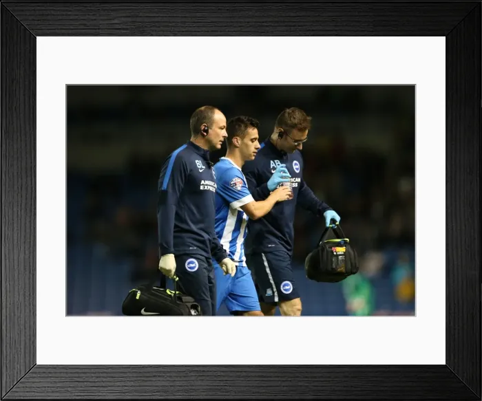 Framed Print : Brighton and Hove Albion vs Rotherham United: Sky Bet Championship Showdown at American Express Community Stadium (September 15, 2015) Framed Print : Brighton and Hove Albion vs Rotherham United: Sky Bet Championship Showdown at American Express Community Stadium (September 15, 2015)