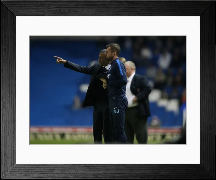Framed Print : Brighton and Hove Albion vs Rotherham United: Sky Bet Championship Showdown at American Express Community Stadium (September 15, 2015) Framed Print : Brighton and Hove Albion vs Rotherham United: Sky Bet Championship Showdown at American Express Community Stadium (September 15, 2015)