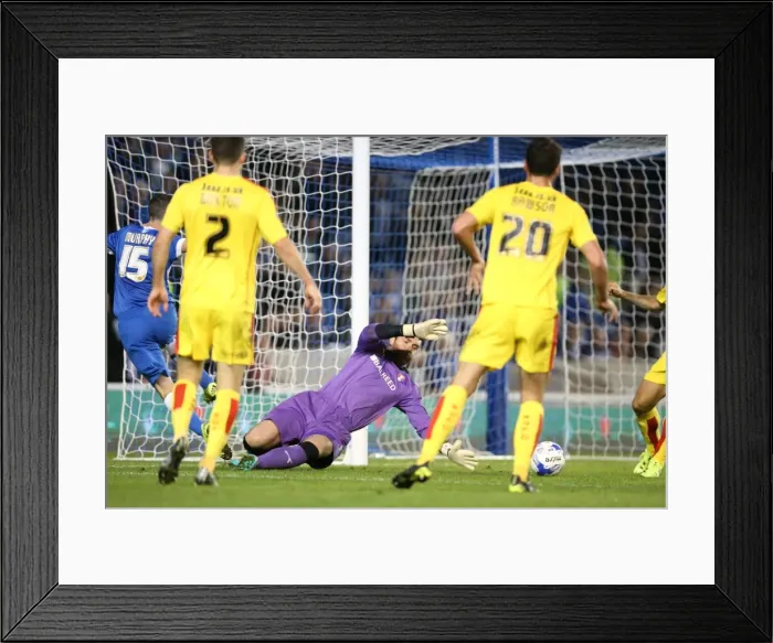 Framed Print : Brighton and Hove Albion vs Rotherham United: Sky Bet Championship Showdown at American Express Community Stadium (September 15, 2015) Framed Print : Brighton and Hove Albion vs Rotherham United: Sky Bet Championship Showdown at American Express Community Stadium (September 15, 2015)
