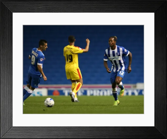 Framed Print : Brighton and Hove Albion vs Rotherham United: Sky Bet Championship Showdown at American Express Community Stadium (September 15, 2015) Framed Print : Brighton and Hove Albion vs Rotherham United: Sky Bet Championship Showdown at American Express Community Stadium (September 15, 2015)