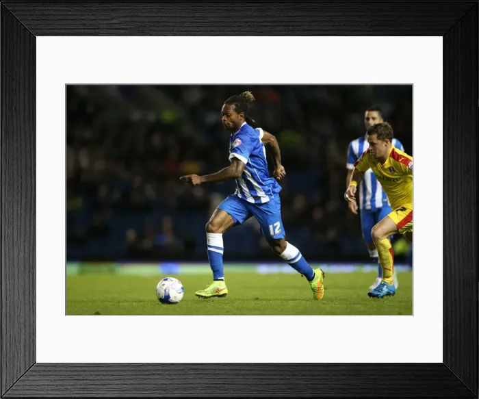 Framed Print : Brighton and Hove Albion vs Rotherham United: Sky Bet Championship Showdown at American Express Community Stadium (September 15, 2015) Framed Print : Brighton and Hove Albion vs Rotherham United: Sky Bet Championship Showdown at American Express Community Stadium (September 15, 2015)