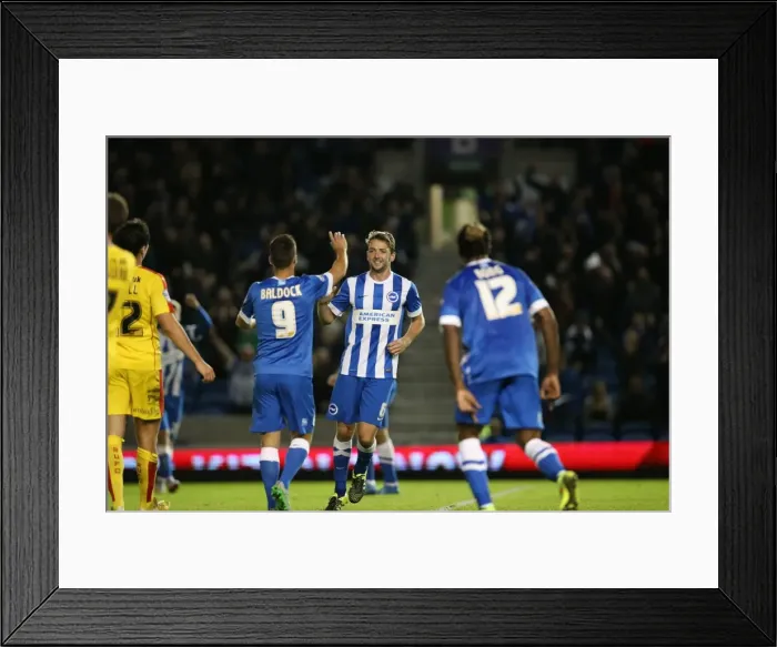 Framed Print : Brighton and Hove Albion vs Rotherham United: Sky Bet Championship Showdown at American Express Community Stadium (September 15, 2015) Framed Print : Brighton and Hove Albion vs Rotherham United: Sky Bet Championship Showdown at American Express Community Stadium (September 15, 2015)