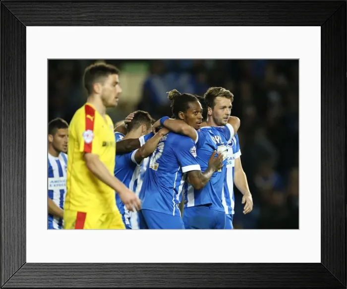 Framed Print : Brighton and Hove Albion vs Rotherham United: Sky Bet Championship Showdown at American Express Community Stadium (September 15, 2015) Framed Print : Brighton and Hove Albion vs Rotherham United: Sky Bet Championship Showdown at American Express Community Stadium (September 15, 2015)