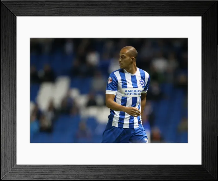 Framed Print : Brighton and Hove Albion vs Rotherham United: Sky Bet Championship Showdown at American Express Community Stadium (September 15, 2015) Framed Print : Brighton and Hove Albion vs Rotherham United: Sky Bet Championship Showdown at American Express Community Stadium (September 15, 2015)
