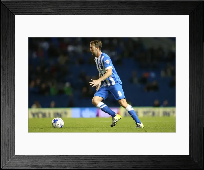 Framed Print : Brighton and Hove Albion vs Rotherham United: Sky Bet Championship Showdown at American Express Community Stadium (September 15, 2015)
