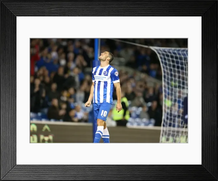 Framed Print : Brighton and Hove Albion vs Rotherham United: Sky Bet Championship Showdown at American Express Community Stadium (September 15, 2015) Framed Print : Brighton and Hove Albion vs Rotherham United: Sky Bet Championship Showdown at American Express Community Stadium (September 15, 2015)