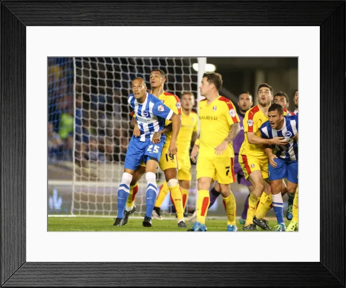 Framed Print : Brighton and Hove Albion vs Rotherham United: Sky Bet Championship Showdown at American Express Community Stadium (September 15, 2015) Framed Print : Brighton and Hove Albion vs Rotherham United: Sky Bet Championship Showdown at American Express Community Stadium (September 15, 2015)