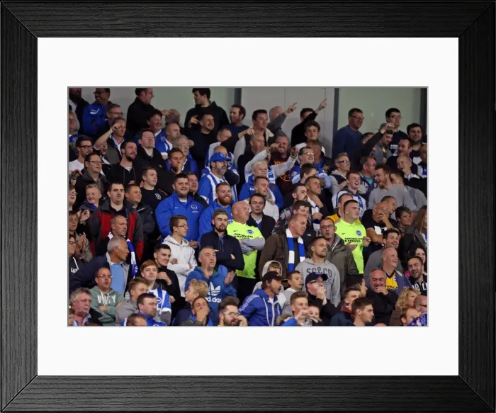 Framed Print : Brighton and Hove Albion vs Rotherham United: Sky Bet Championship Showdown at American Express Community Stadium (September 15, 2015) Framed Print : Brighton and Hove Albion vs Rotherham United: Sky Bet Championship Showdown at American Express Community Stadium (September 15, 2015)