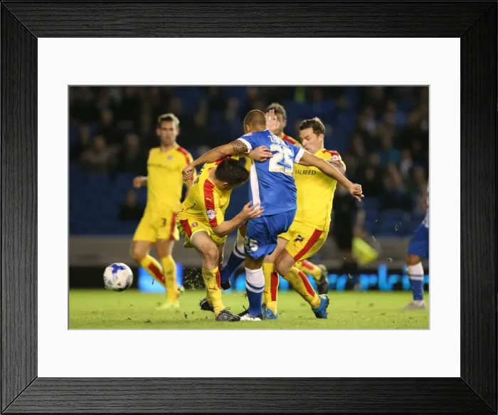 Framed Print : Brighton and Hove Albion vs Rotherham United: Sky Bet Championship Showdown at American Express Community Stadium (September 15, 2015) Framed Print : Brighton and Hove Albion vs Rotherham United: Sky Bet Championship Showdown at American Express Community Stadium (September 15, 2015)