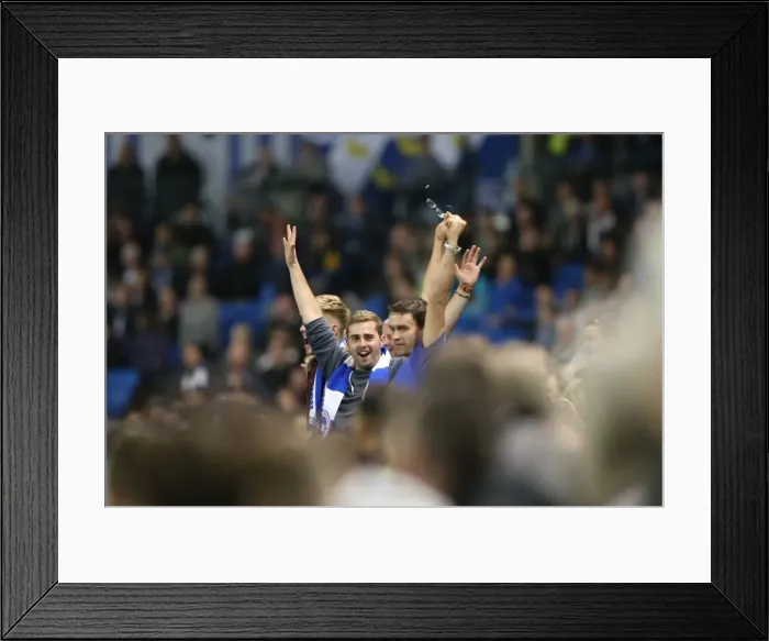 Framed Print : Brighton and Hove Albion vs Rotherham United: Sky Bet Championship Showdown at American Express Community Stadium (September 15, 2015)
