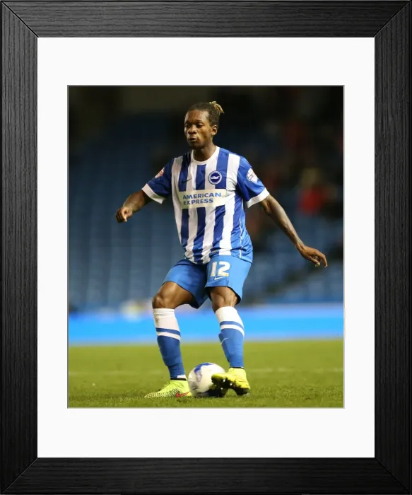 Framed Print : Brighton and Hove Albion vs Rotherham United: Sky Bet Championship Showdown at American Express Community Stadium (September 15, 2015) Framed Print : Brighton and Hove Albion vs Rotherham United: Sky Bet Championship Showdown at American Express Community Stadium (September 15, 2015)