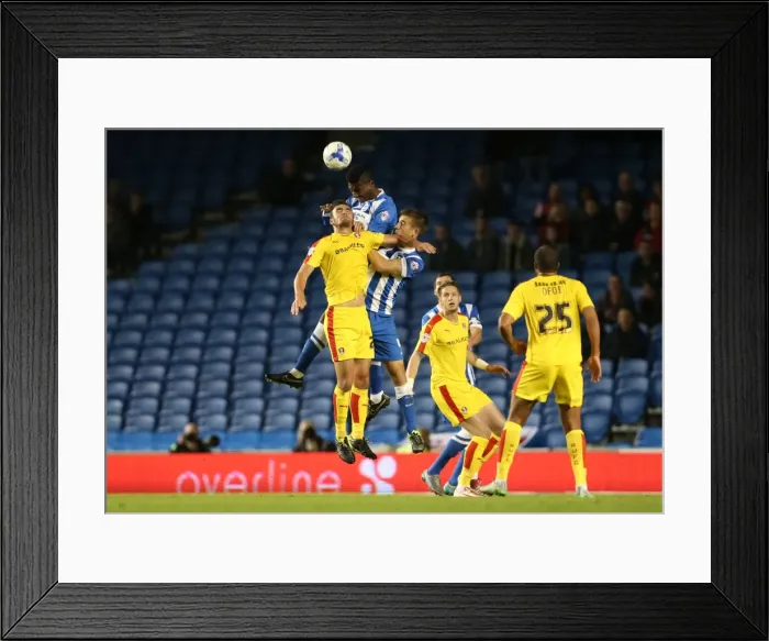 Framed Print : Brighton and Hove Albion vs Rotherham United: Sky Bet Championship Showdown at American Express Community Stadium (September 15, 2015)