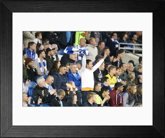 Framed Print : Brighton and Hove Albion vs Rotherham United: Sky Bet Championship Showdown at American Express Community Stadium (September 15, 2015) Framed Print : Brighton and Hove Albion vs Rotherham United: Sky Bet Championship Showdown at American Express Community Stadium (September 15, 2015)