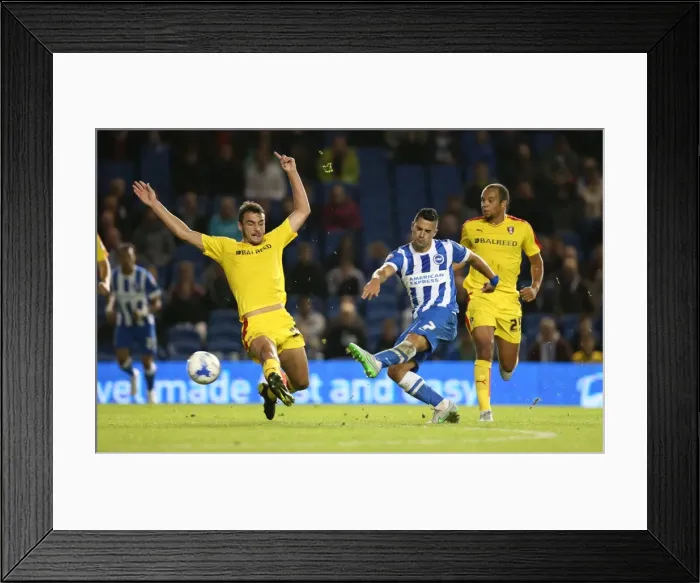 Framed Print : Brighton and Hove Albion vs Rotherham United: Sky Bet Championship Showdown at American Express Community Stadium (September 15, 2015) Framed Print : Brighton and Hove Albion vs Rotherham United: Sky Bet Championship Showdown at American Express Community Stadium (September 15, 2015)