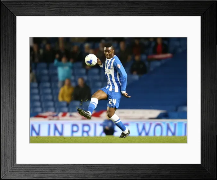 Framed Print : Brighton and Hove Albion vs Rotherham United: Sky Bet Championship Showdown at American Express Community Stadium (September 15, 2015) Framed Print : Brighton and Hove Albion vs Rotherham United: Sky Bet Championship Showdown at American Express Community Stadium (September 15, 2015)