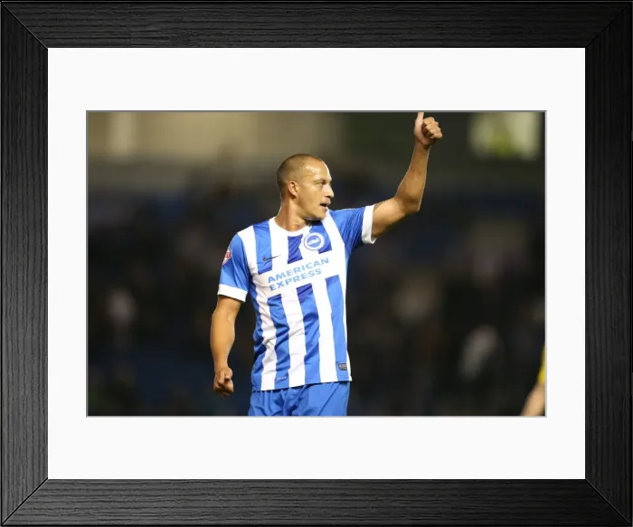 Framed Print : Brighton and Hove Albion vs Rotherham United: Sky Bet Championship Showdown at American Express Community Stadium (September 15, 2015) Framed Print : Brighton and Hove Albion vs Rotherham United: Sky Bet Championship Showdown at American Express Community Stadium (September 15, 2015)