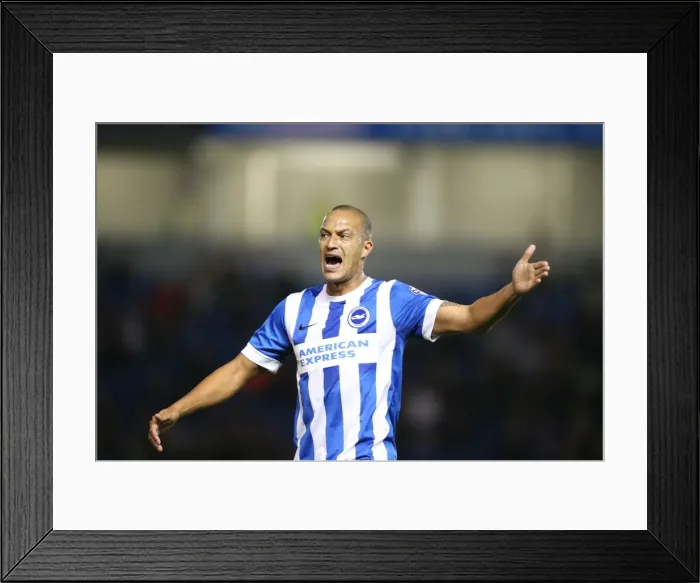 Framed Print : Brighton and Hove Albion vs Rotherham United: Sky Bet Championship Showdown at American Express Community Stadium (September 15, 2015) Framed Print : Brighton and Hove Albion vs Rotherham United: Sky Bet Championship Showdown at American Express Community Stadium (September 15, 2015)