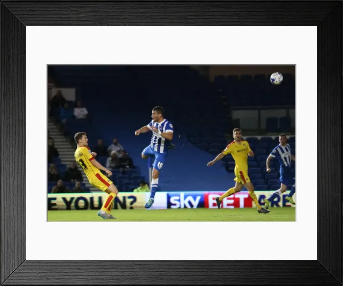 Framed Print : Brighton and Hove Albion vs Rotherham United: Sky Bet Championship Showdown at American Express Community Stadium (September 15, 2015) Framed Print : Brighton and Hove Albion vs Rotherham United: Sky Bet Championship Showdown at American Express Community Stadium (September 15, 2015)