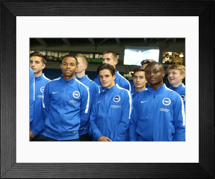 Framed Print : Brighton and Hove Albion U18 Squad Presented at Half Time during Sky Bet Championship Match against Rotherham United (September 2015) Framed Print : Brighton and Hove Albion U18 Squad Presented at Half Time during Sky Bet Championship Match against Rotherham United (September 2015)