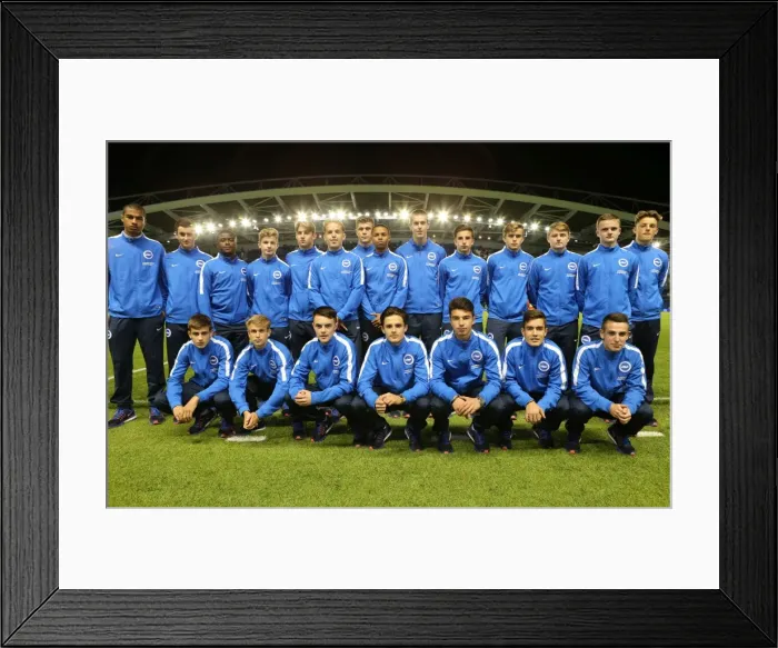 Framed Print : Brighton and Hove Albion v Rotherham United Sky Bet Championship 15 / 09 / 2015 Framed Print : Brighton and Hove Albion v Rotherham United Sky Bet Championship 15 / 09 / 2015