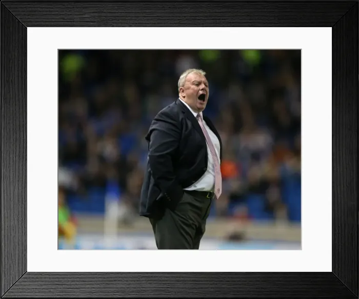 Framed Print : Brighton and Hove Albion vs Rotherham United: Sky Bet Championship Showdown at American Express Community Stadium (September 15, 2015) Framed Print : Brighton and Hove Albion vs Rotherham United: Sky Bet Championship Showdown at American Express Community Stadium (September 15, 2015)