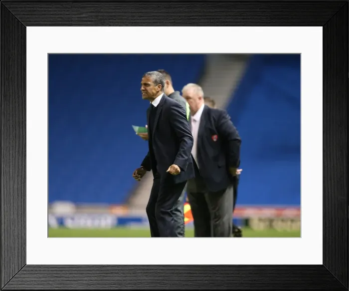 Framed Print : Brighton and Hove Albion vs Rotherham United: Sky Bet Championship Showdown at American Express Community Stadium (September 15, 2015) Framed Print : Brighton and Hove Albion vs Rotherham United: Sky Bet Championship Showdown at American Express Community Stadium (September 15, 2015)