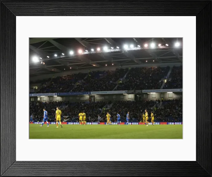 Framed Print : Brighton and Hove Albion vs Rotherham United: Sky Bet Championship Showdown at American Express Community Stadium (September 15, 2015) Framed Print : Brighton and Hove Albion vs Rotherham United: Sky Bet Championship Showdown at American Express Community Stadium (September 15, 2015)