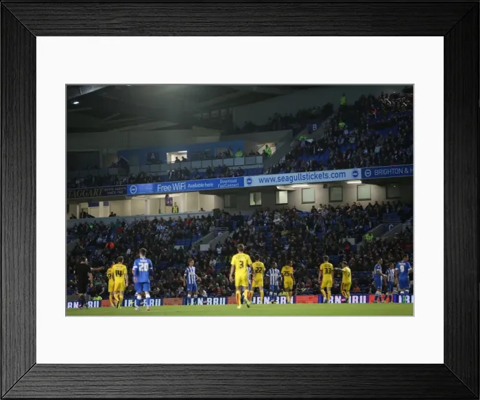 Framed Print : Brighton and Hove Albion vs Rotherham United: Sky Bet Championship Clash at American Express Community Stadium (September 15, 2015) Framed Print : Brighton and Hove Albion vs Rotherham United: Sky Bet Championship Clash at American Express Community Stadium (September 15, 2015)