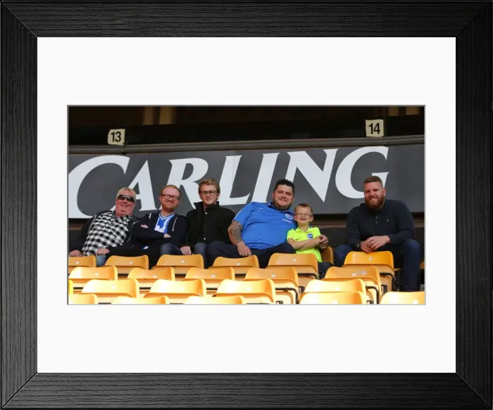 Framed Print : Brighton and Hove Albion Fans Passionate Display at Molineux Stadium during Sky Bet Championship Match vs. Wolverhampton Wanderers (September 2015) Framed Print : Brighton and Hove Albion Fans Passionate Display at Molineux Stadium during Sky Bet Championship Match vs. Wolverhampton Wanderers (September 2015)