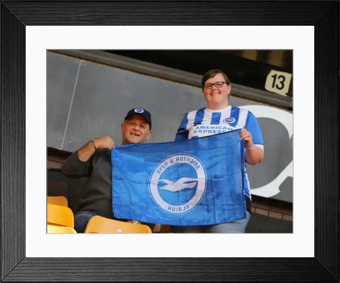 Framed Print : Brighton and Hove Albion Fans Epic Showdown at Molineux Stadium, Sky Bet Championship 2015 Framed Print : Brighton and Hove Albion Fans Epic Showdown at Molineux Stadium, Sky Bet Championship 2015