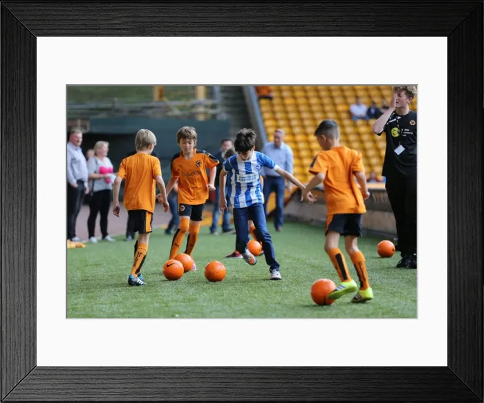 Framed Print : Brighton and Hove Albion Fans in Full Force at Wolverhampton Wanderers Championship Showdown, August 2015 Framed Print : Brighton and Hove Albion Fans in Full Force at Wolverhampton Wanderers Championship Showdown, August 2015