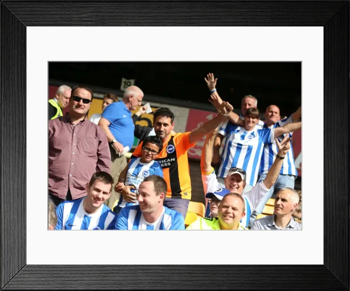 Framed Print : Brighton and Hove Albion Fans Passionate Showing at Molineux Stadium During Sky Bet Championship Match vs. Wolverhampton Wanderers (September 2015) Framed Print : Brighton and Hove Albion Fans Passionate Showing at Molineux Stadium During Sky Bet Championship Match vs. Wolverhampton Wanderers (September 2015)