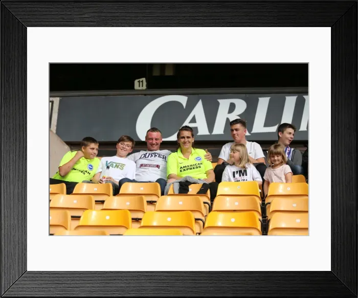 Framed Print : Brighton and Hove Albion Fans Passionate Showdown at Wolverhampton Wanderers, Sky Bet Championship 2015 Framed Print : Brighton and Hove Albion Fans Passionate Showdown at Wolverhampton Wanderers, Sky Bet Championship 2015