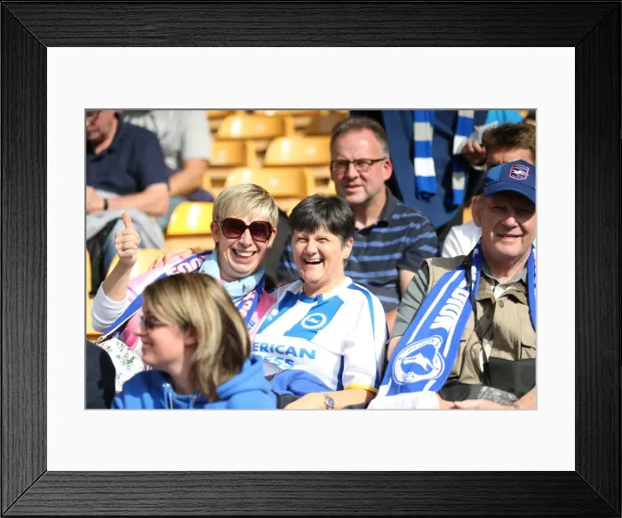 Framed Print : Brighton and Hove Albion Fans in Action at Wolverhampton Wanderers Championship Clash, August 2015 Framed Print : Brighton and Hove Albion Fans in Action at Wolverhampton Wanderers Championship Clash, August 2015