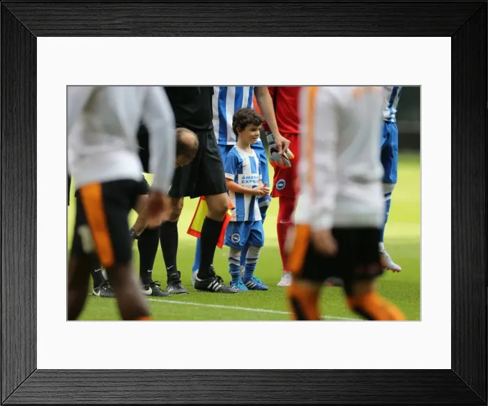 Framed Print : Brighton and Hove Albion Fans at Molineux Stadium during Sky Bet Championship Match vs. Wolverhampton Wanderers (September 2015) Framed Print : Brighton and Hove Albion Fans at Molineux Stadium during Sky Bet Championship Match vs. Wolverhampton Wanderers (September 2015)