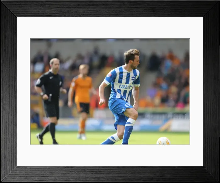 Framed Print : Sky Bet Championship Showdown: Wolverhampton Wanderers vs. Brighton and Hove Albion at Molineux Stadium (September 17, 2015) Framed Print : Sky Bet Championship Showdown: Wolverhampton Wanderers vs. Brighton and Hove Albion at Molineux Stadium (September 17, 2015)