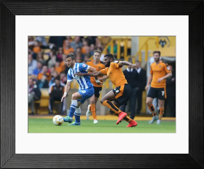 Framed Print : Sky Bet Championship Showdown: Wolverhampton Wanderers vs. Brighton and Hove Albion at Molineux Stadium (17 / 09 / 2015) Framed Print : Sky Bet Championship Showdown: Wolverhampton Wanderers vs. Brighton and Hove Albion at Molineux Stadium (17 / 09 / 2015)