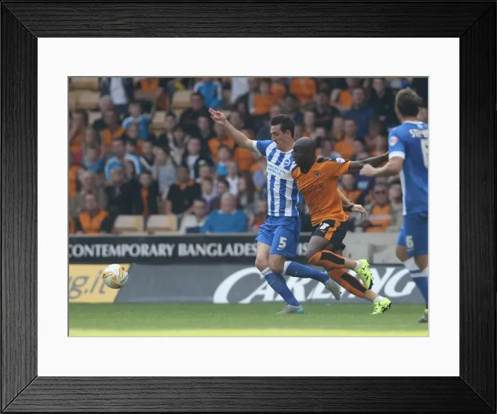 Framed Print : Sky Bet Championship Showdown: Wolverhampton Wanderers vs. Brighton and Hove Albion at Molineux Stadium (August 2015) Framed Print : Sky Bet Championship Showdown: Wolverhampton Wanderers vs. Brighton and Hove Albion at Molineux Stadium (August 2015)