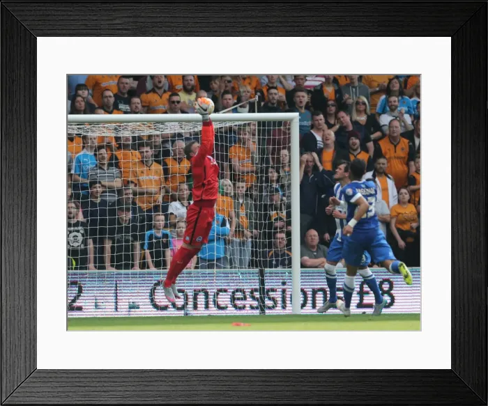 Framed Print : Sky Bet Championship Showdown: Wolverhampton Wanderers vs. Brighton and Hove Albion at Molineux Stadium (17 / 09 / 2015)