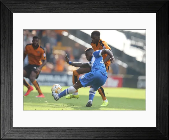 Framed Print : Sky Bet Championship Showdown: Wolverhampton Wanderers vs. Brighton and Hove Albion at Molineux Stadium (17 / 09 / 2015)