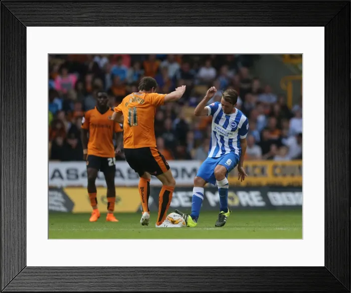 Framed Print : Sky Bet Championship Showdown: Wolverhampton Wanderers vs. Brighton and Hove Albion at Molineux Stadium (17 / 09 / 2015) Framed Print : Sky Bet Championship Showdown: Wolverhampton Wanderers vs. Brighton and Hove Albion at Molineux Stadium (17 / 09 / 2015)