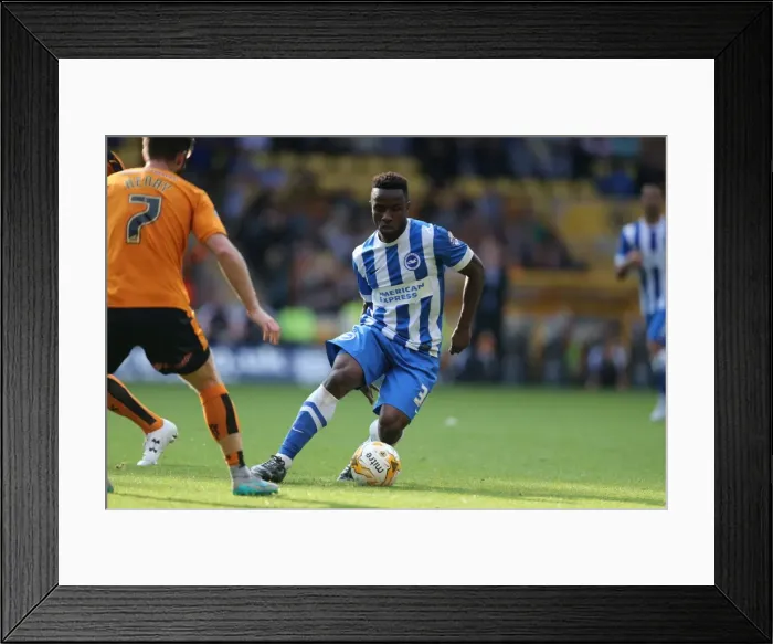 Framed Print : Sky Bet Championship Showdown: Wolverhampton Wanderers vs. Brighton and Hove Albion at Molineux Stadium (17 / 09 / 2015) Framed Print : Sky Bet Championship Showdown: Wolverhampton Wanderers vs. Brighton and Hove Albion at Molineux Stadium (17 / 09 / 2015)