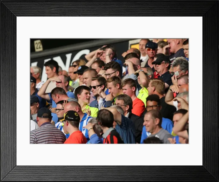 Framed Print : Clash in the Championship: Wolverhampton Wanderers vs. Brighton and Hove Albion (17 / 09 / 2015) Framed Print : Clash in the Championship: Wolverhampton Wanderers vs. Brighton and Hove Albion (17 / 09 / 2015)