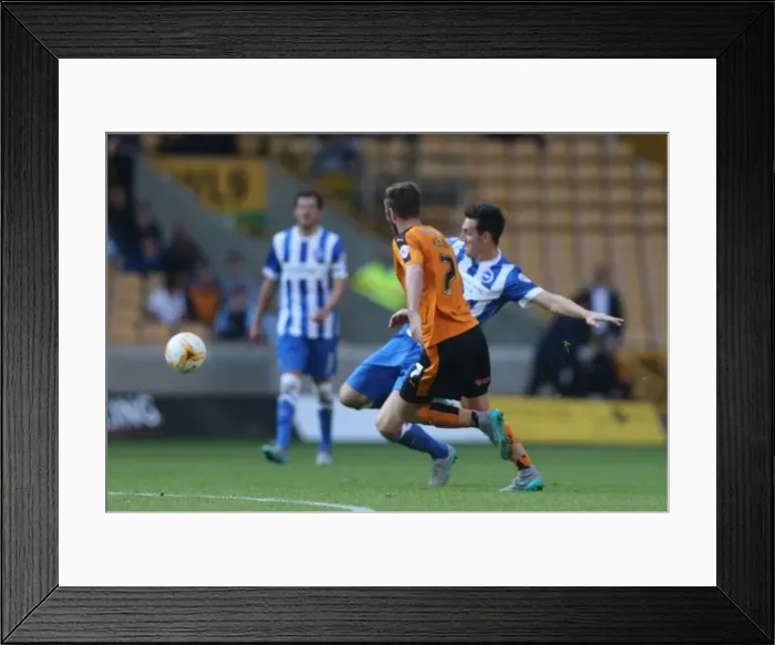 Framed Print : Sky Bet Championship Showdown: Wolverhampton Wanderers vs. Brighton and Hove Albion at Molineux Stadium (17 / 09 / 2015) Framed Print : Sky Bet Championship Showdown: Wolverhampton Wanderers vs. Brighton and Hove Albion at Molineux Stadium (17 / 09 / 2015)