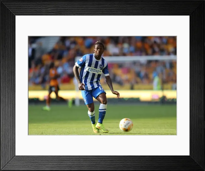 Framed Print : Sky Bet Championship Showdown: Wolverhampton Wanderers vs. Brighton and Hove Albion at Molineux Stadium (17 / 09 / 2015) Framed Print : Sky Bet Championship Showdown: Wolverhampton Wanderers vs. Brighton and Hove Albion at Molineux Stadium (17 / 09 / 2015)