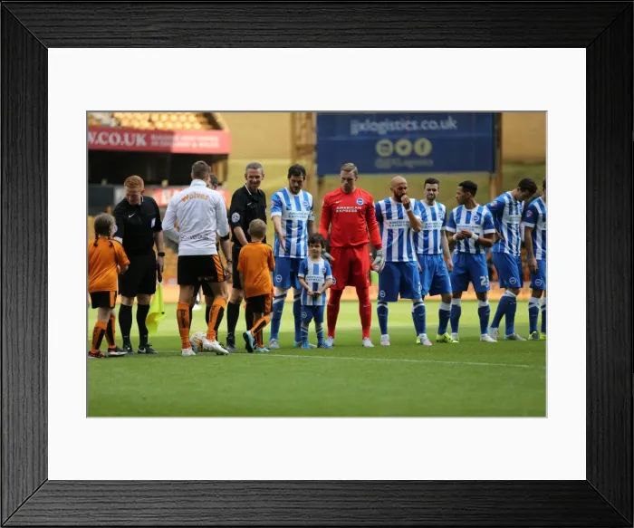 Framed Print : Sky Bet Championship Showdown: Wolverhampton Wanderers vs. Brighton and Hove Albion at Molineux Stadium (17 / 09 / 2015)