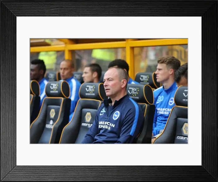 Framed Print : Sky Bet Championship Showdown: Wolverhampton Wanderers vs. Brighton and Hove Albion at Molineux Stadium (17 / 09 / 2015)