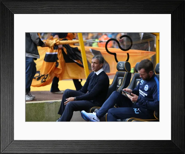 Framed Print : Sky Bet Championship Showdown: Wolverhampton Wanderers vs. Brighton and Hove Albion at Molineux Stadium (17 / 09 / 2015) Framed Print : Sky Bet Championship Showdown: Wolverhampton Wanderers vs. Brighton and Hove Albion at Molineux Stadium (17 / 09 / 2015)
