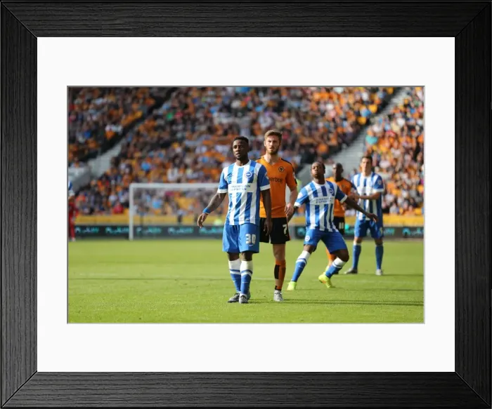 Framed Print : Sky Bet Championship Showdown: Wolverhampton Wanderers vs. Brighton and Hove Albion at Molineux Stadium (17 / 09 / 2015) Framed Print : Sky Bet Championship Showdown: Wolverhampton Wanderers vs. Brighton and Hove Albion at Molineux Stadium (17 / 09 / 2015)